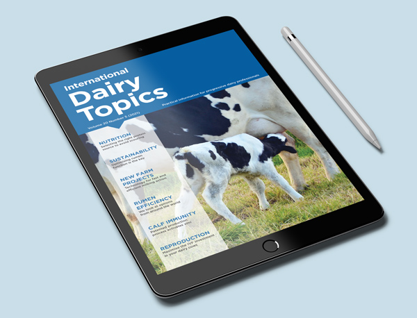 ipad cover image