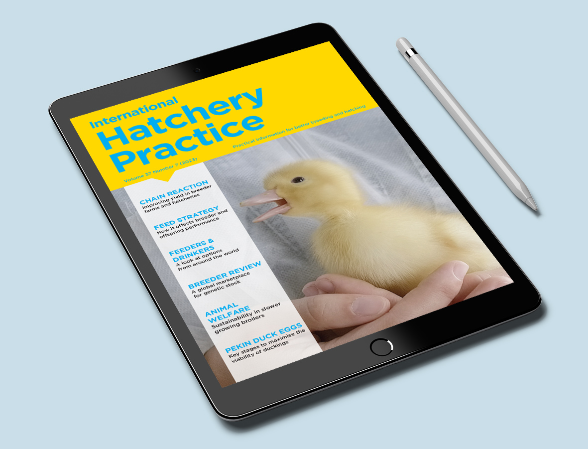 image of magazine spread on different devices